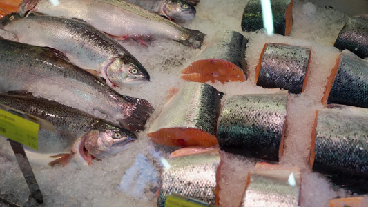 冷冻鱼鲜鱼市场在市场上出售鱼三文鱼在冰上新鲜的视频