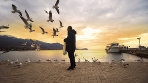海鸥在日落时在奥赫里德湖码头抢了一块面包19秒视频