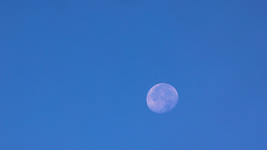 实拍月亮月球视频56秒视频