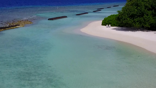 蓝海白沙背景的豪华海岸海滩野生动物空中全景视频