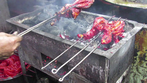 使用煤和其他天然调味剂在烤架上烤鸡肉15秒视频