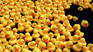 在水中漂浮的许多橡胶鸭玩具童年幸福和简单概念7秒视频