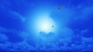 白鸽在蓝天上缓慢飞翔31秒视频