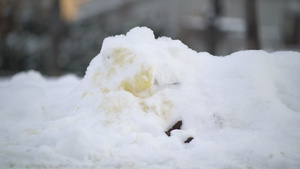 冬天雪堆上留下的狗狗尿渍9秒视频