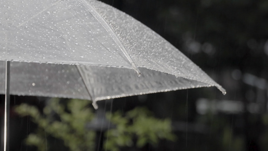 夜间雨伞下视频