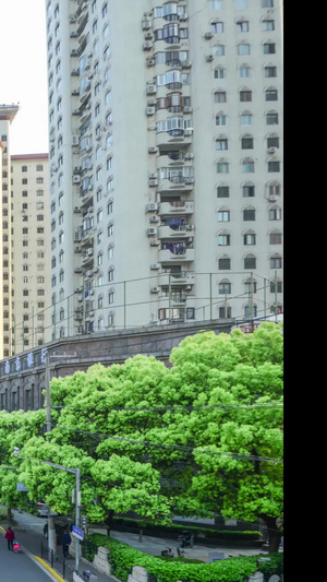 上海商业街高楼大厦车流延时繁华路段14秒视频