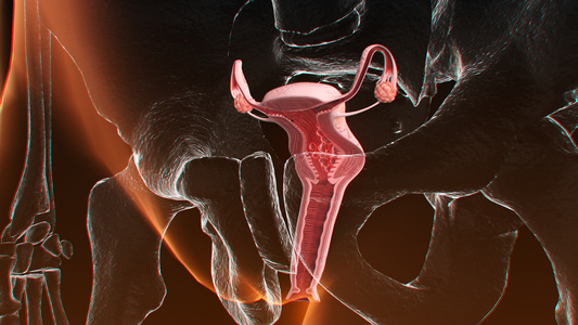 3D人体医疗宫颈癌视频
