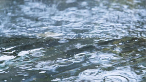 下雨天的地面29秒视频