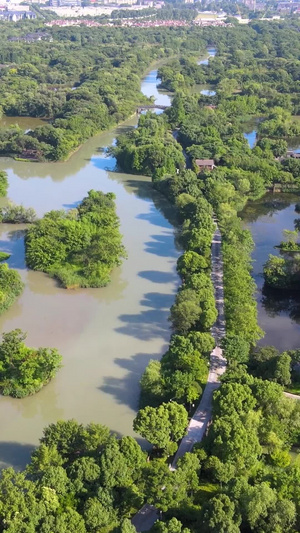杭州5A风景区西溪湿地西区航拍147秒视频