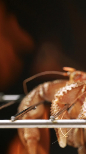 烧烤火焰虾怪海鲜寄居蟹15秒视频