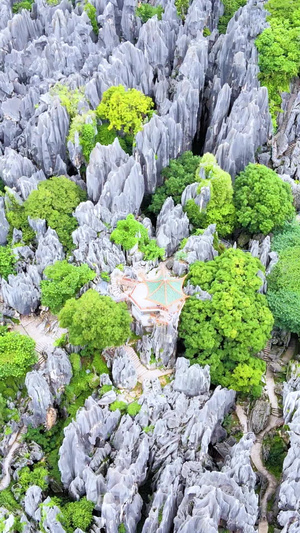 云南石林世界地质公园航拍云南旅游64秒视频