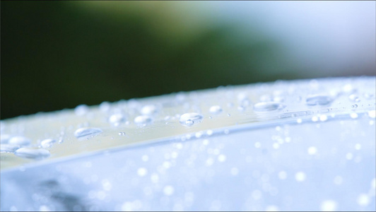 雨伞上的水滴视频