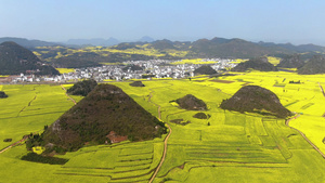 航拍云南著名旅游景点罗平金鸡峰丛景区视频60秒视频