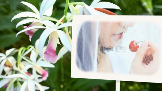 花朵实拍 婚礼图片展示 电子相册 会声会影X10模板视频