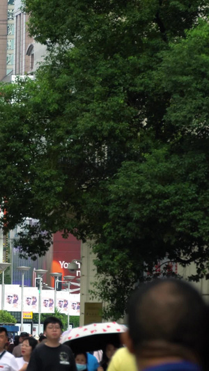 实拍南京路商业步行街人群【该视频无肖像权，请勿商用】人群人流117秒视频