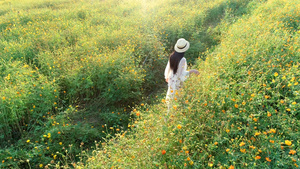 花海中的少女航拍4K10秒视频