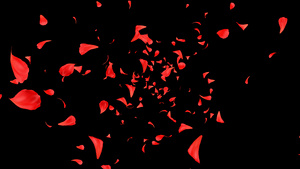 三维花瓣背景50秒视频