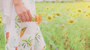 夏天向日葵女孩手拿花朵27秒视频