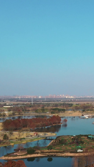 辰山植物园春日樱花盛开上海航拍53秒视频