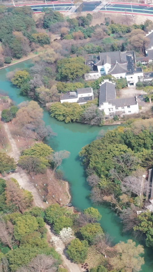 上海大观园宝塔4A景区74秒视频