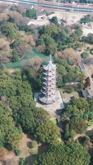 上海大观园宝塔4A景区74秒视频