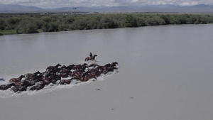 新疆之旅牧马放马航拍32秒视频