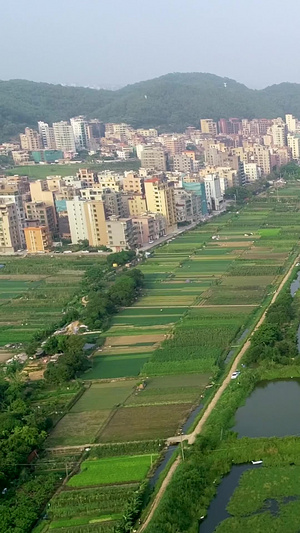 水产养殖东莞市南方特种水产研究所笋壳鱼繁殖基地98秒视频