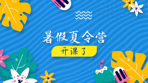 简洁时尚夏令营活动宣传展示AE模板60秒视频