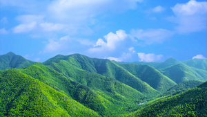 绿色唯美5A风景区天目湖南山竹海背景视频40秒视频