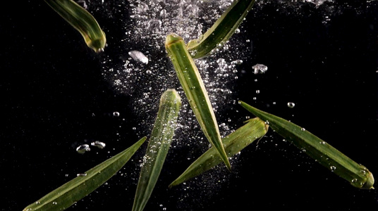 秋葵蔬菜入水造型1000帧升格视频视频