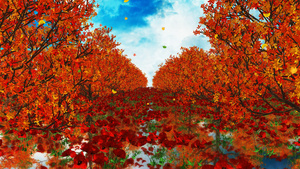 4K唯美的秋天枫树林穿梭背景40秒视频