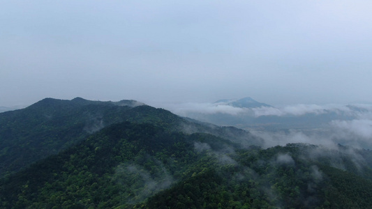 大气磅礴大山森林云雾4K高清航拍视频