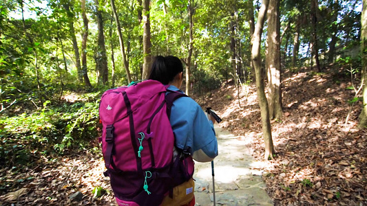 女性登山远足爬山背影视频视频