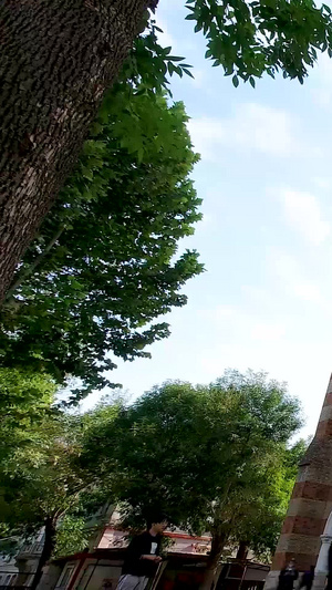 天津西开教堂景区延时摄影天主教20秒视频