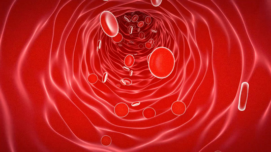 微观血管红细胞运动穿梭循环动画视频