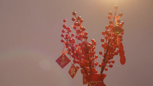 4K春节装饰年宵花喜庆氛围视频