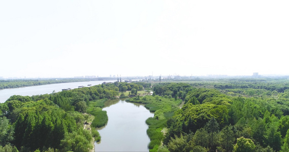 4k城市湿地公园航拍[滩地]视频