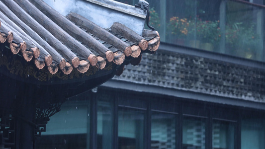 雨天梅雨季节滴雨的屋檐视频