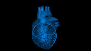 4K透明通道全息心脏素材20秒视频