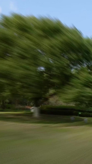 第一视角穿梭秋天公园创意视频65秒视频