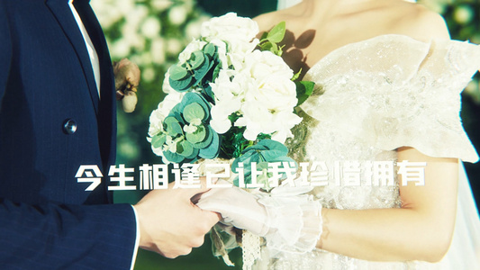 温馨炫酷浪漫婚礼AE模板视频