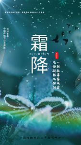 雪花飘落霜降24节气视频海报视频