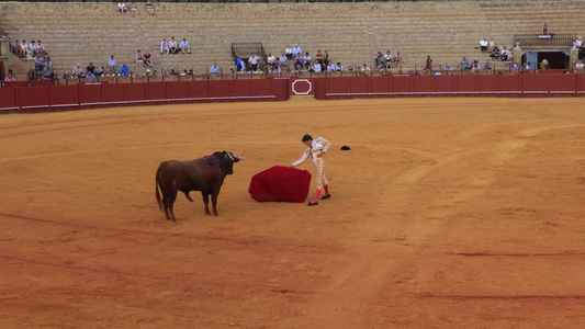 西班牙斗牛表演实拍视频视频