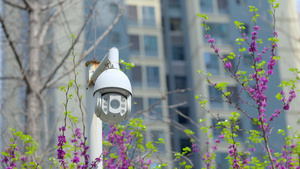 4K实拍城市监控探头安防设施20秒视频