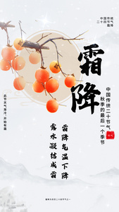 淡雅中国风霜降节气视频海报视频