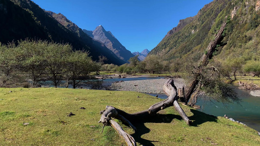 旅游景区四姑娘山双桥沟景点人参果坪视频合集视频