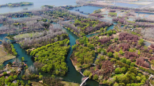 5A景区溱湖湿地公园风景区航拍视频视频