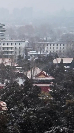北京寿皇殿公园下雪雪雪景118秒视频