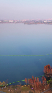 航拍城市秋天湖景绿道热气球素材绿道素材视频