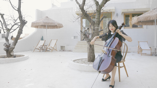 4K户外演奏乐器大提琴视频